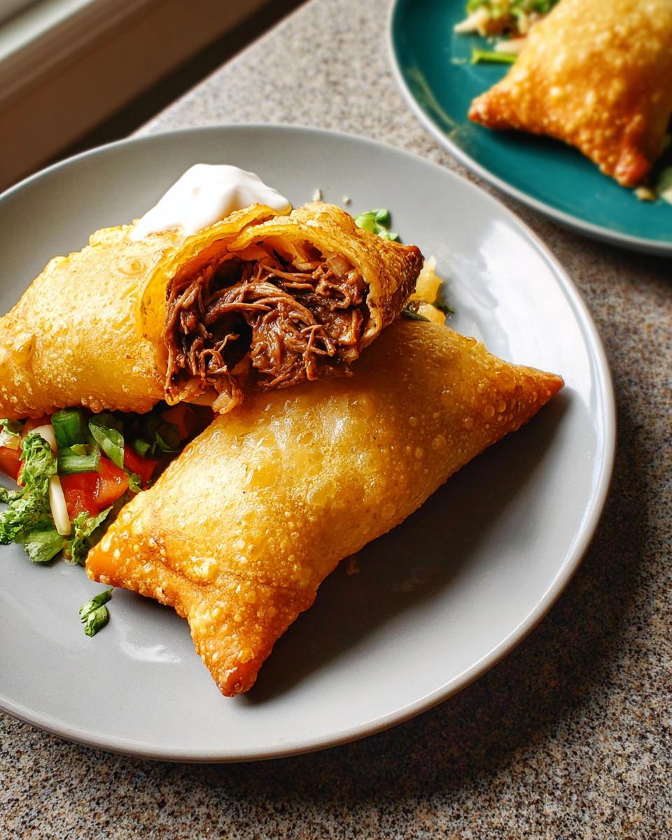 Close-up of crispy fried wontons filled with shredded beef, part of 20-Ingredient Easy Dinner Recipes.